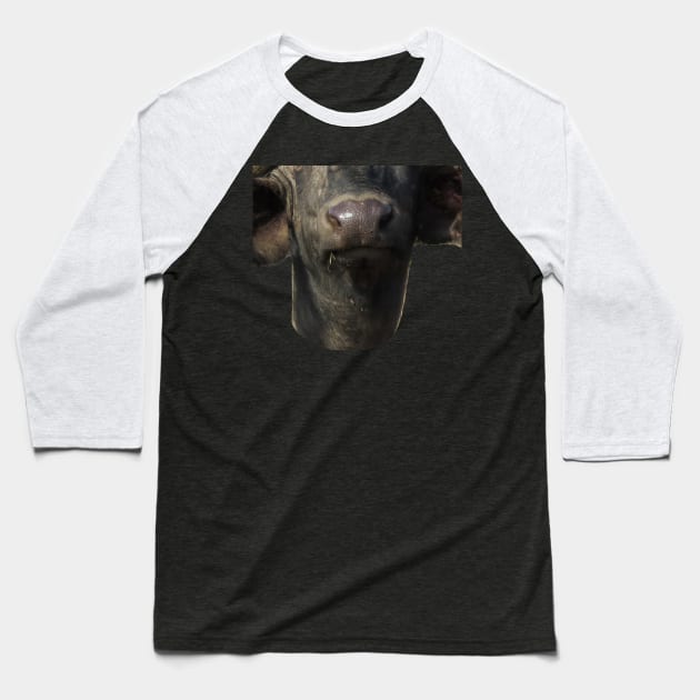 Water Buffalo Mouth Baseball T-Shirt by ellenhenryart